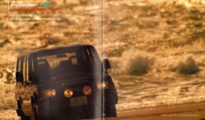 Isuzu Bighorn 1989 (JP) 003.jpg