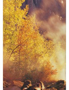 Isuzu Trooper 1988_Page6.jpg